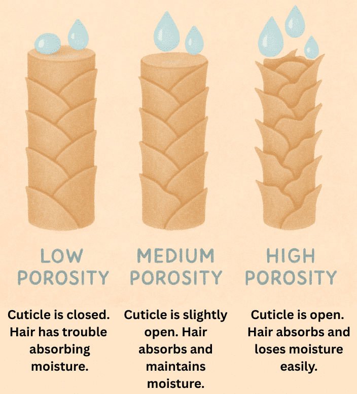 types of hair porosity diagram